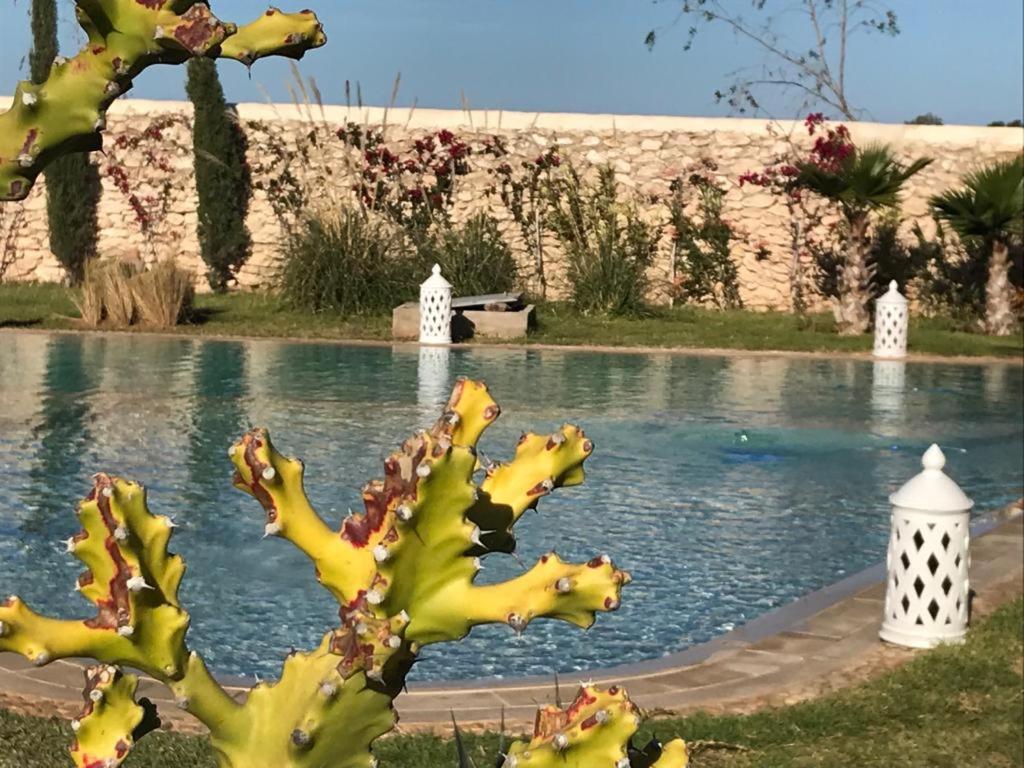 La Maison D'Helene Essaouira Al Ghar 外观 照片